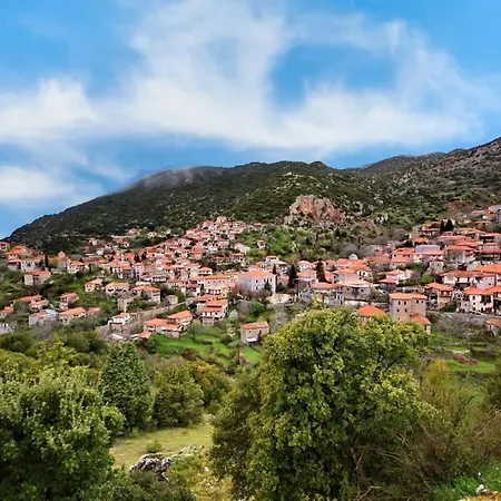 Stone - Cosy Mountain Escape Stemnitsa
